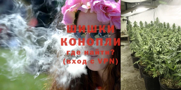Альфа ПВП Дмитровск
