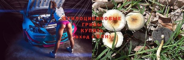 a pvp Дмитриев