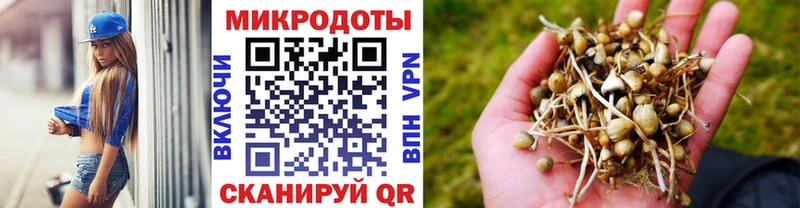 Псилоцибиновые грибы GOLDEN TEACHER  Рузаевка 