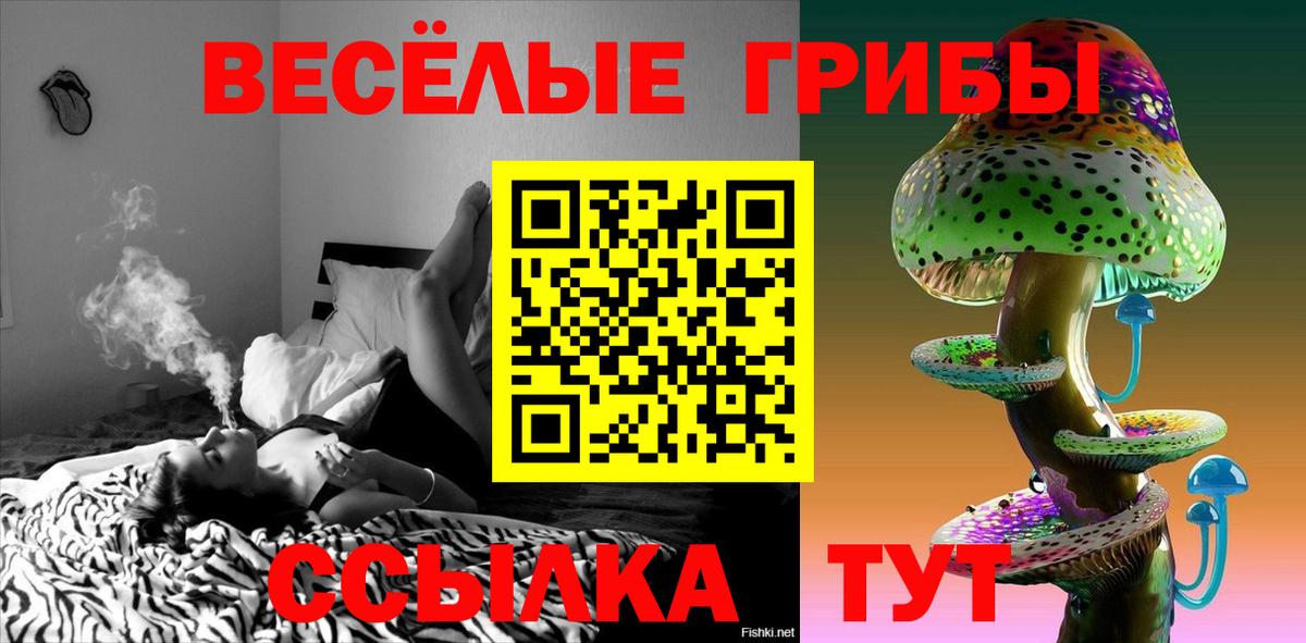 Псилоцибиновые грибы Psilocybine cubensis  Рузаевка  Галлюциногенные грибы MAGIC MUSHROOMS 